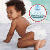 Pampers Harmonie Nappy Pants Size 4, 168 Nappies, 9kg-15kg, Monthly Pack, Gentle Skin Protection and 360° Comfort Fit