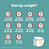 Pampers Baby-Dry Nappy Pants Size 8, 117 Nappies, 17kg+, Monthly Pack, 360° Fit To Help Prevent Gaps And Leaks