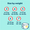 Pampers Premium Protection Nappy Pants Size 6, 132 Nappies, 13kg-19kg, Monthly Pack + Pampers Harmonie Aqua Baby Wipes 1 pack of 10 Wipes