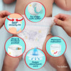 Pampers Premium Protection Nappy Pants Size 4, 168 Nappies, 9kg-15kg, Monthly Pack + Pampers Harmonie Aqua Baby Wipes 1 pack of 10 Wipes